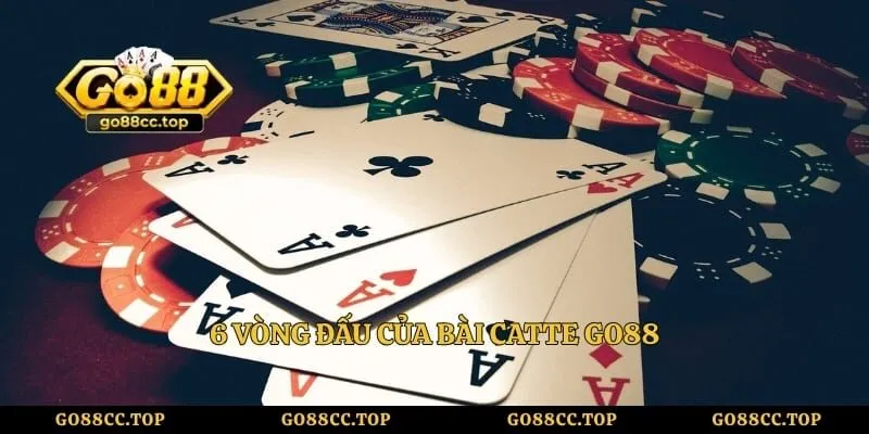 6 vòng đấu của bài catte GO88