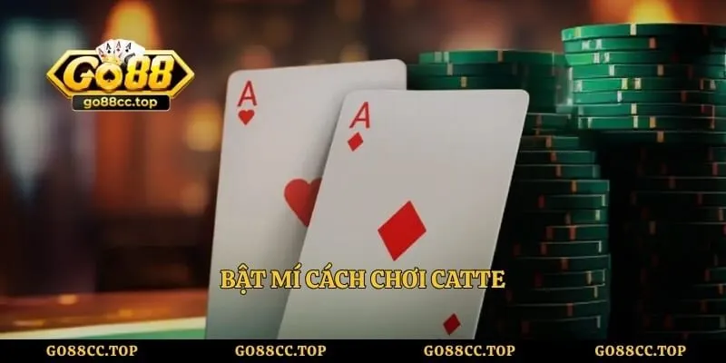 Bật mí cách chơi Catte