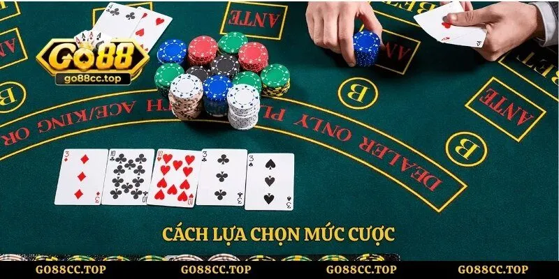 Cách lựa chọn mức cược 