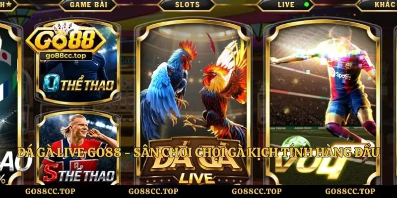 Đá Gà Live GO88 - Sân Chơi Chọi Gà Kịch Tính Hàng Đầu