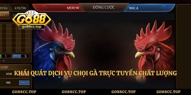 Khái quát dịch vụ chọi gà trực tuyến chất lượng