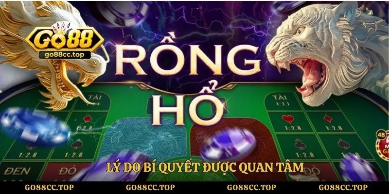 Bí Quyết Soi Cầu Rồng Hổ Go88 - Theo Dõi Lịch Sử Đúng Cách 1 Lý do bí quyết được quan tâm