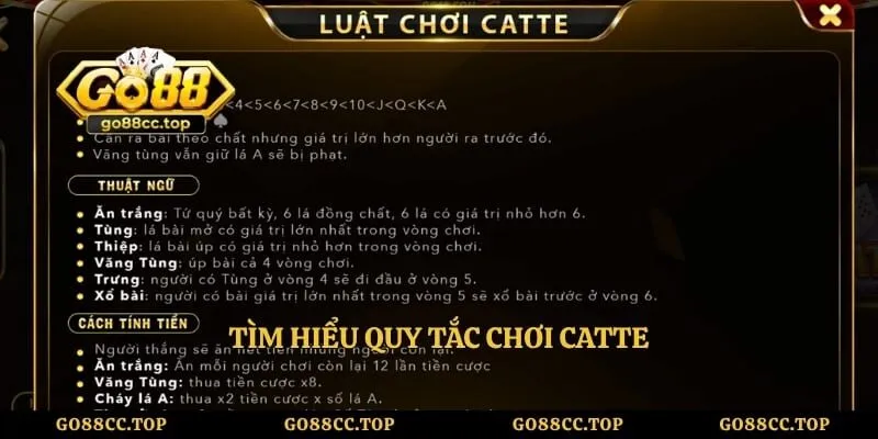 Tìm hiểu quy tắc chơi Catte 