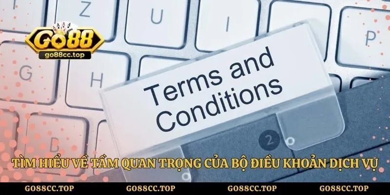 Tìm hiểu về tầm quan trọng của bộ điều khoản dịch vụ 